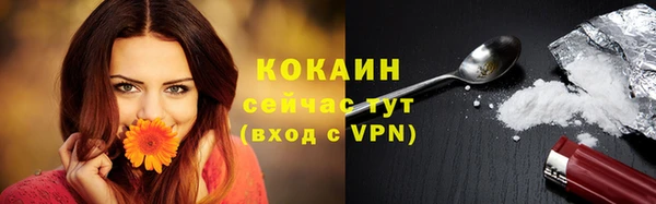 твердый Михайловск